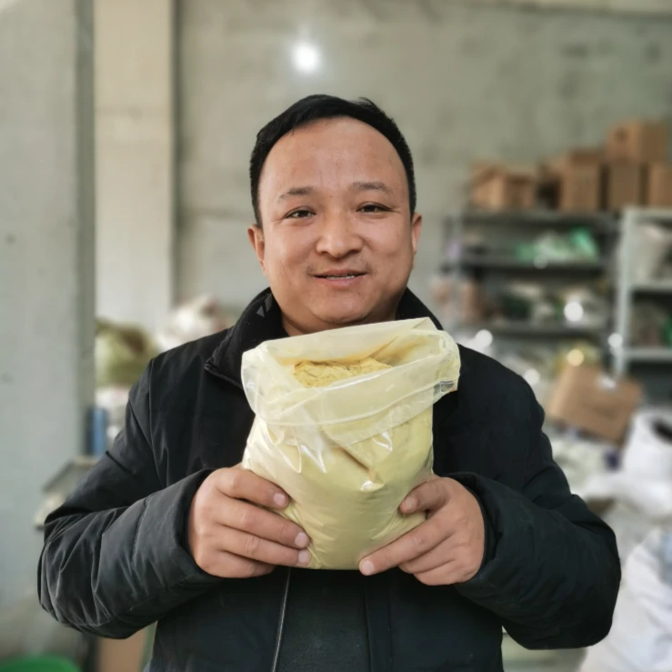 松花粉 云南破壁松花粉 大山里采的非种植的已破壁松花粉