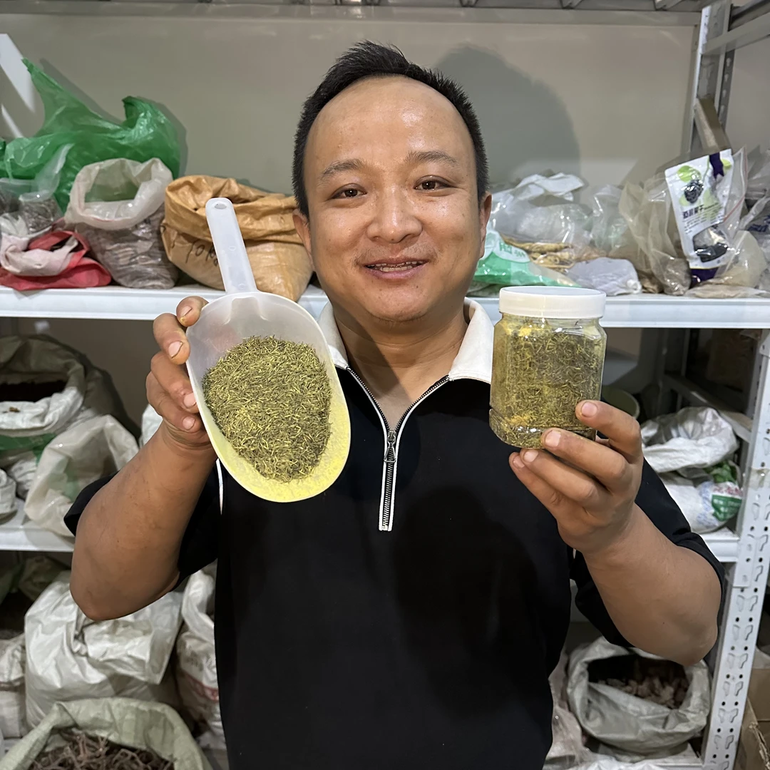 杜仲雄花 甘肃杜仲雄花 杜仲花栽种的