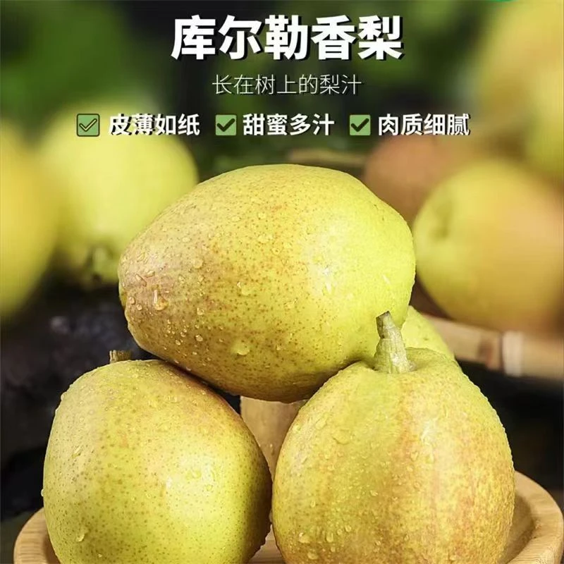 新疆特产库尔勒香梨豪华果王单果150克以上清甜爽口