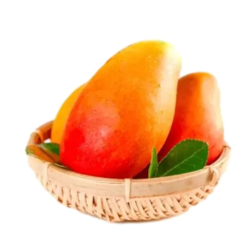 【新品尝鲜  贵妃芒果2个约600克】芒果同城配