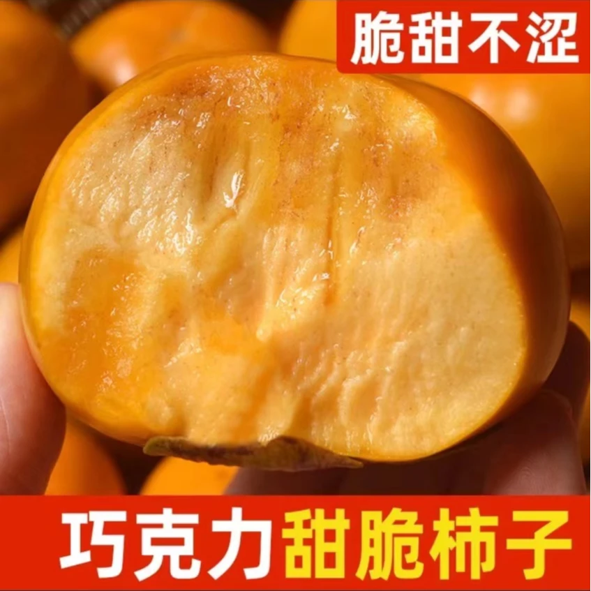 【巧克力脆柿】山西阳丰产地直发新鲜应季水果脆甜不涩