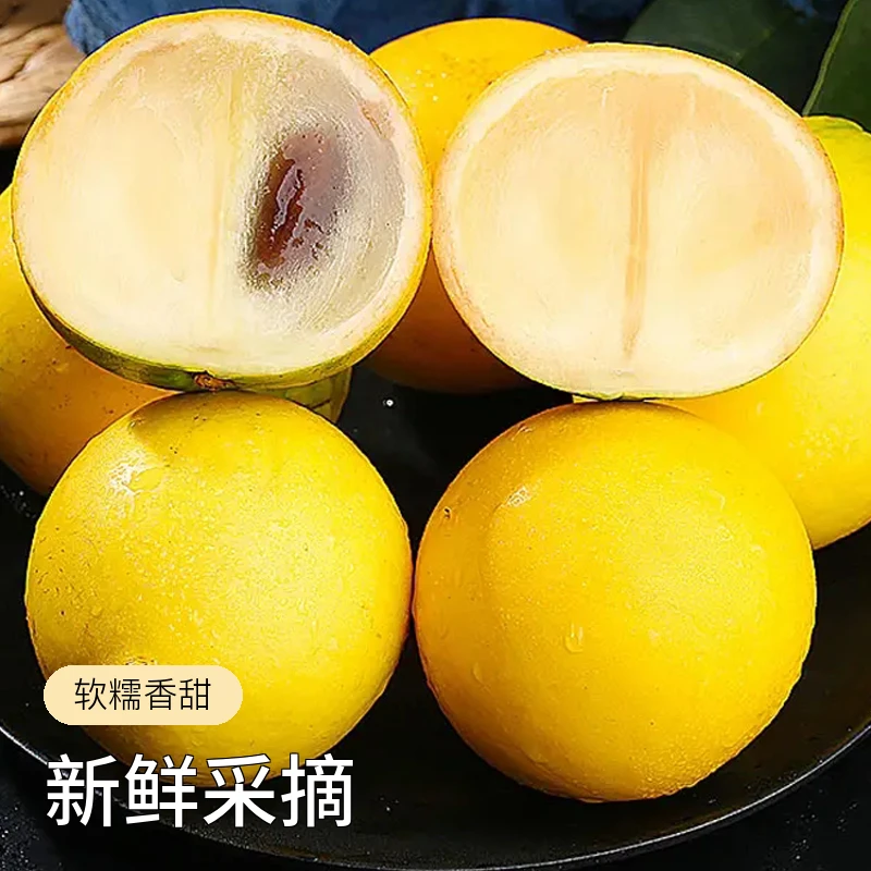 甜蜜黄晶果美味冬蜜新鲜成熟香甜大果采摘晶莹香糯果园农家产水果