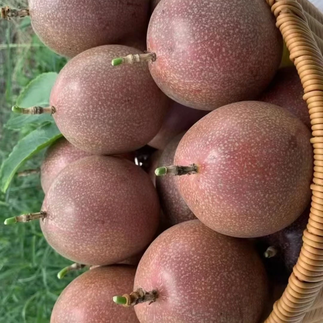 黄金百香果，庭院农场种植