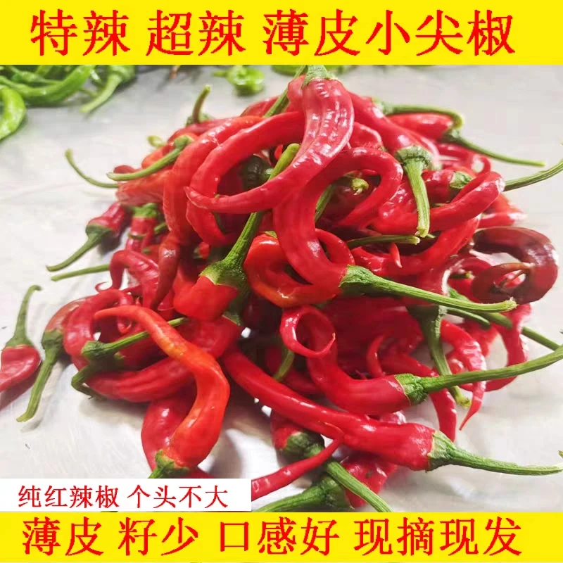 农家自种现货土辣椒特辣超辣非小米椒朝天椒新鲜薄皮小尖椒红辣椒