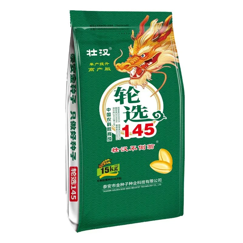 壮汉轮选145小麦种子原种可留矮秆抗冻农科院高产大穗小麦原种