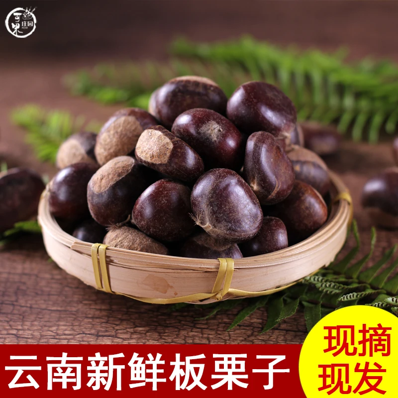 2025年云南新鲜板栗生板栗净果5斤油栗毛栗新鲜板栗栗仁锥栗包邮
