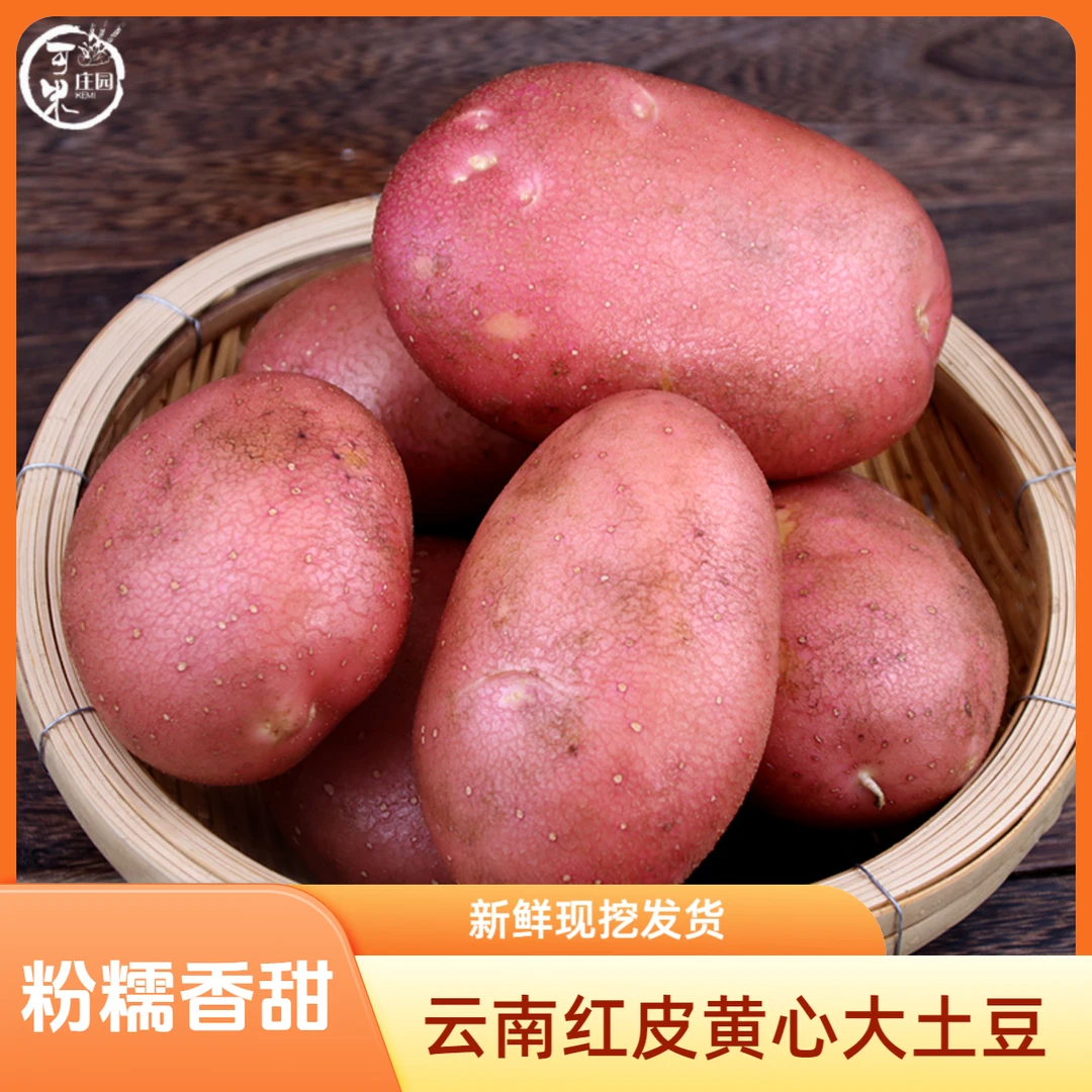 可米庄园云南新鲜红皮黄心大土豆粉糯农家自种蔬菜马铃薯洋芋包邮