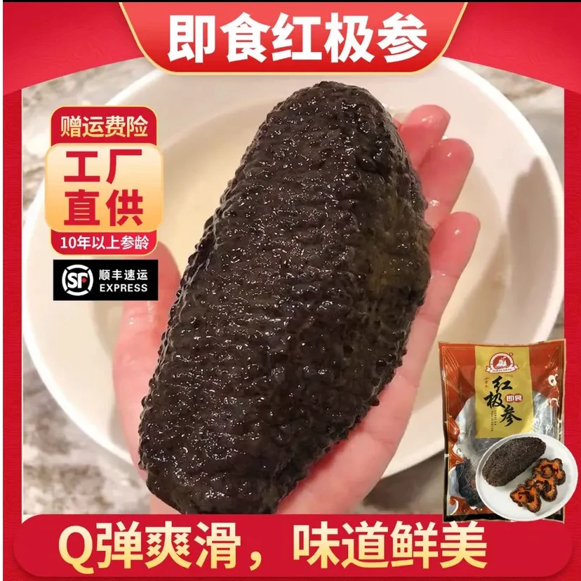 即食加拿大红极参深海进口海参滋补鲜食开袋海参鲜活加工