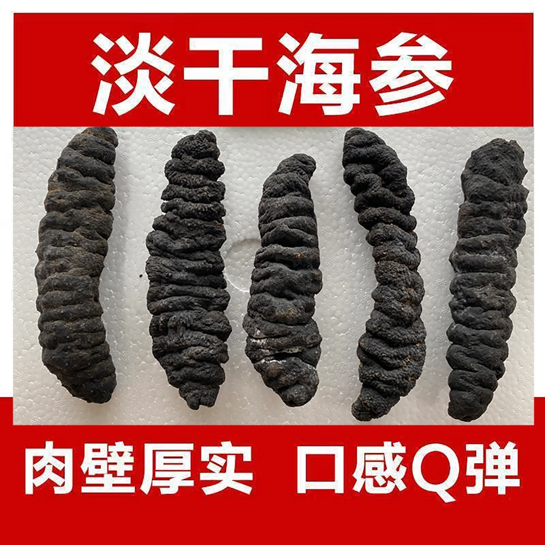 猪伯参中美洲贝里斯纯淡干海参 肉厚营养丰富 福建自贸区发货