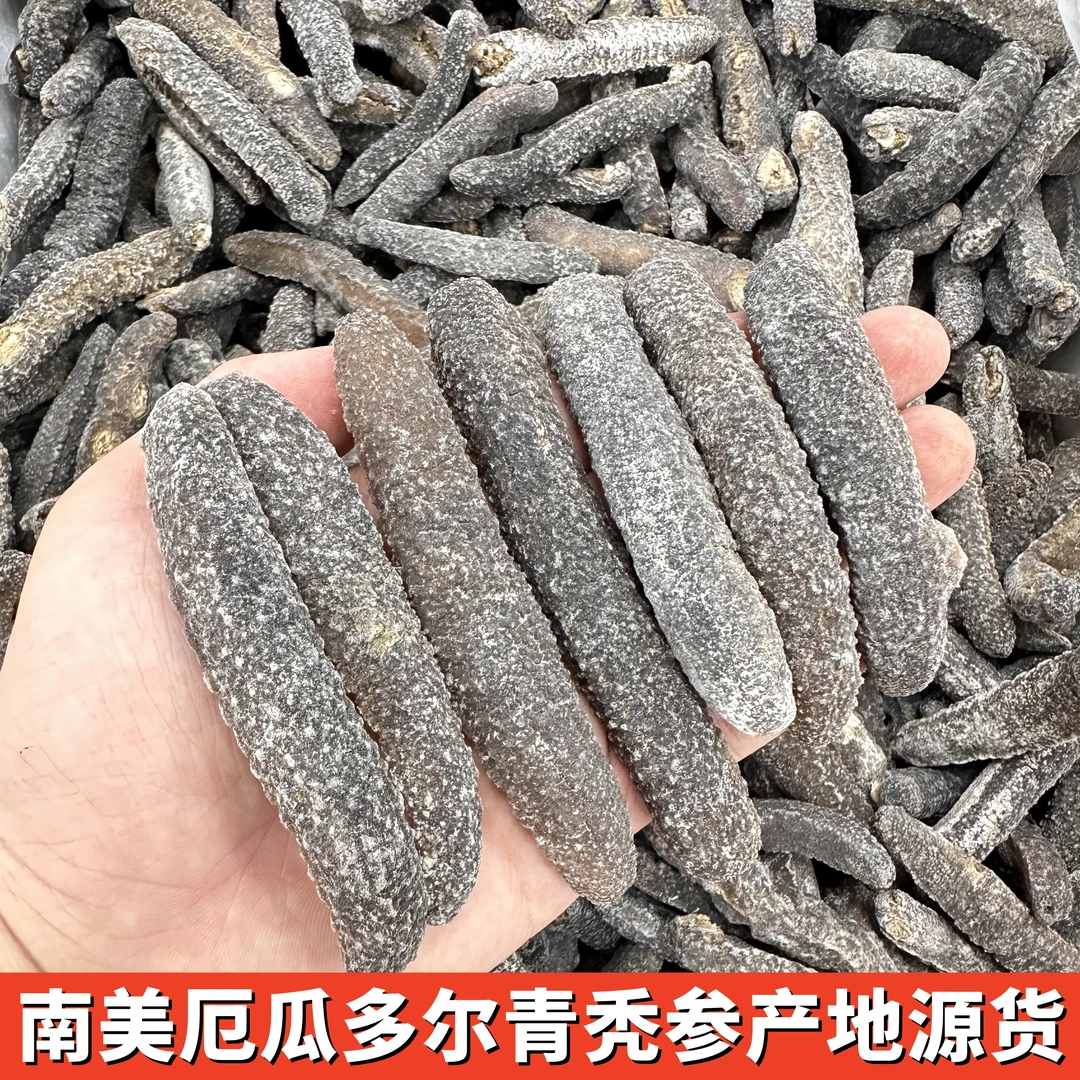 【高货】南美厄瓜多尔青秃海参干货高泡发肉厚Q弹无腥味产地源货