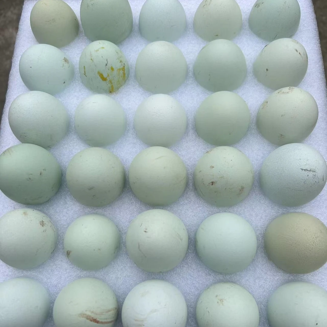 鸢微生态桑叶绿壳鸡蛋（三十枚)