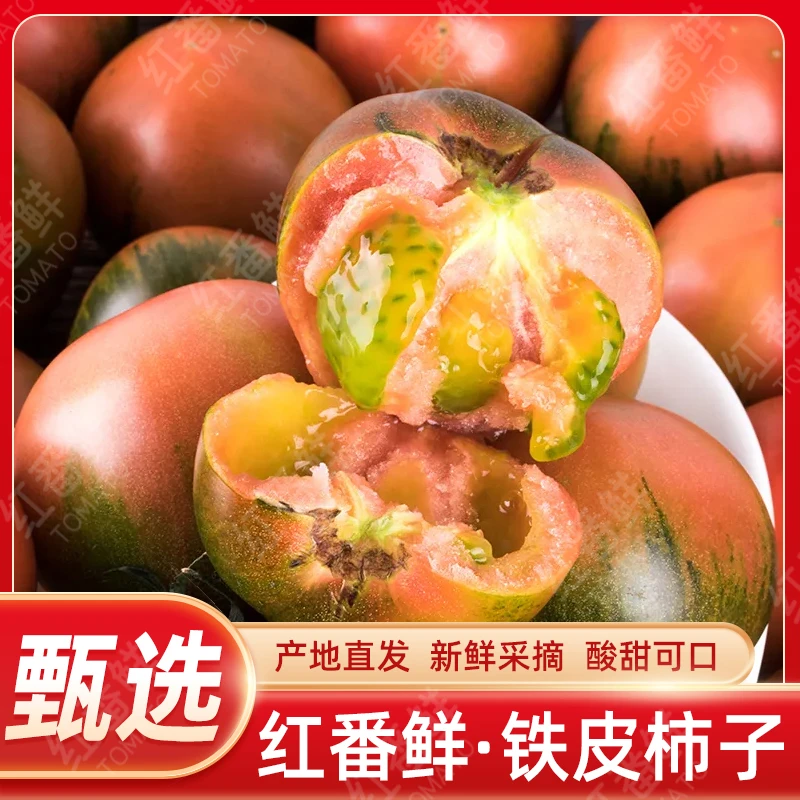 红番鲜（顺丰速运）盘锦碱地番茄好吃水果酸甜多汁自然采摘新鲜