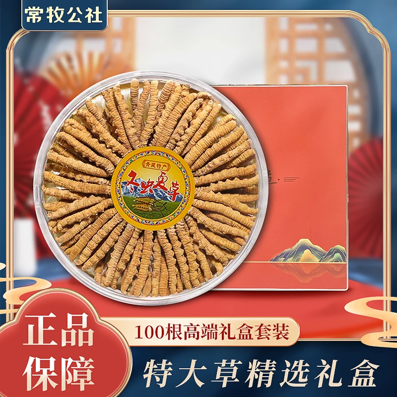 【扎西家】2024冬虫夏草虫草王3根/1克头期足干滋补养生