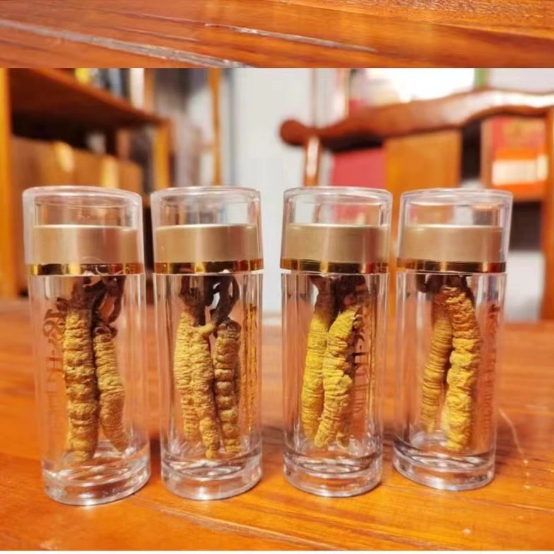 10根装品鉴虫草