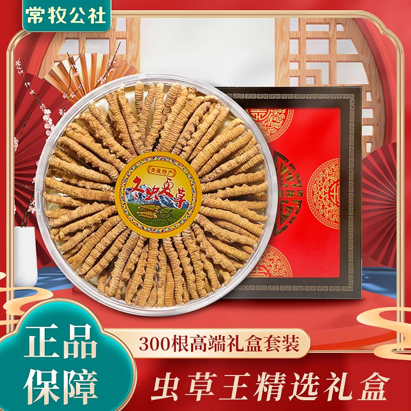 【央金】】高海拔冬虫夏草虫草王3根/1克100根头期足干滋补养生