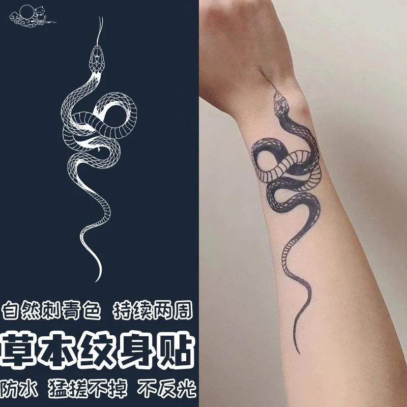 简约曼巴蛇手臂小腿大腿辣妹可洗草本果汁纹身贴半永久持久逼真