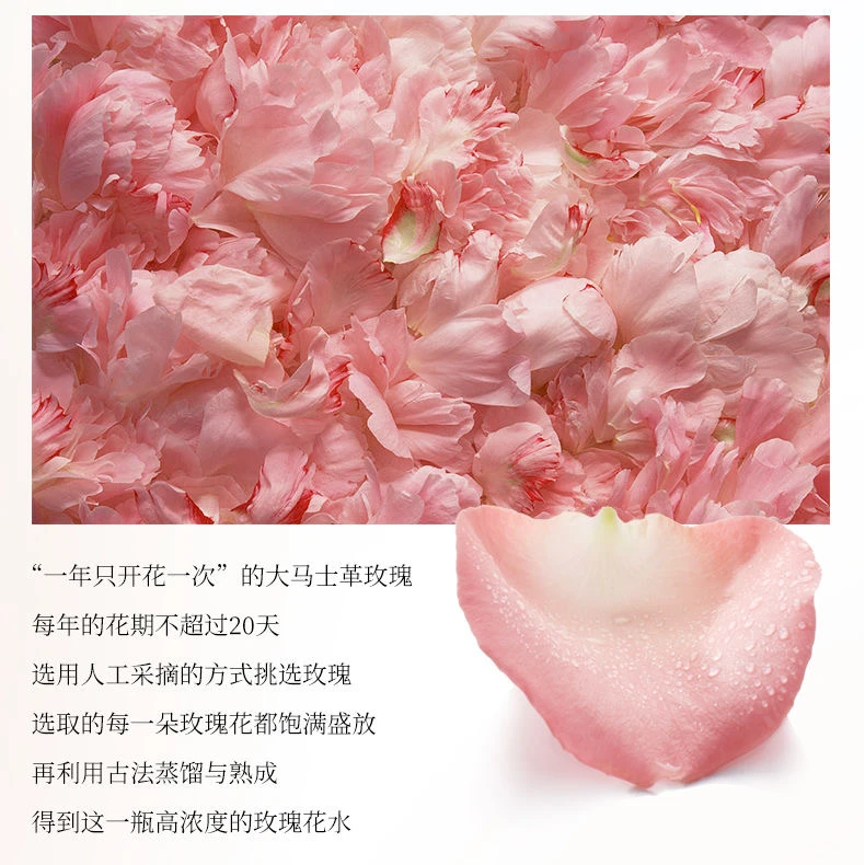 DR.Hztone+赫兹肽大马士革玫瑰花水柔肤水保湿