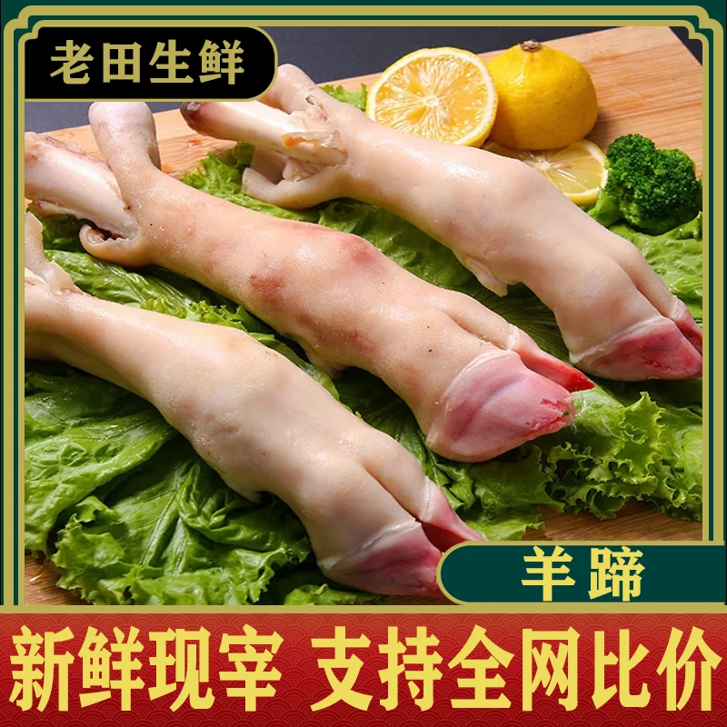 （4斤羊蹄）小山羊新鲜羊蹄肉质红烧羊蹄麻辣羊蹄