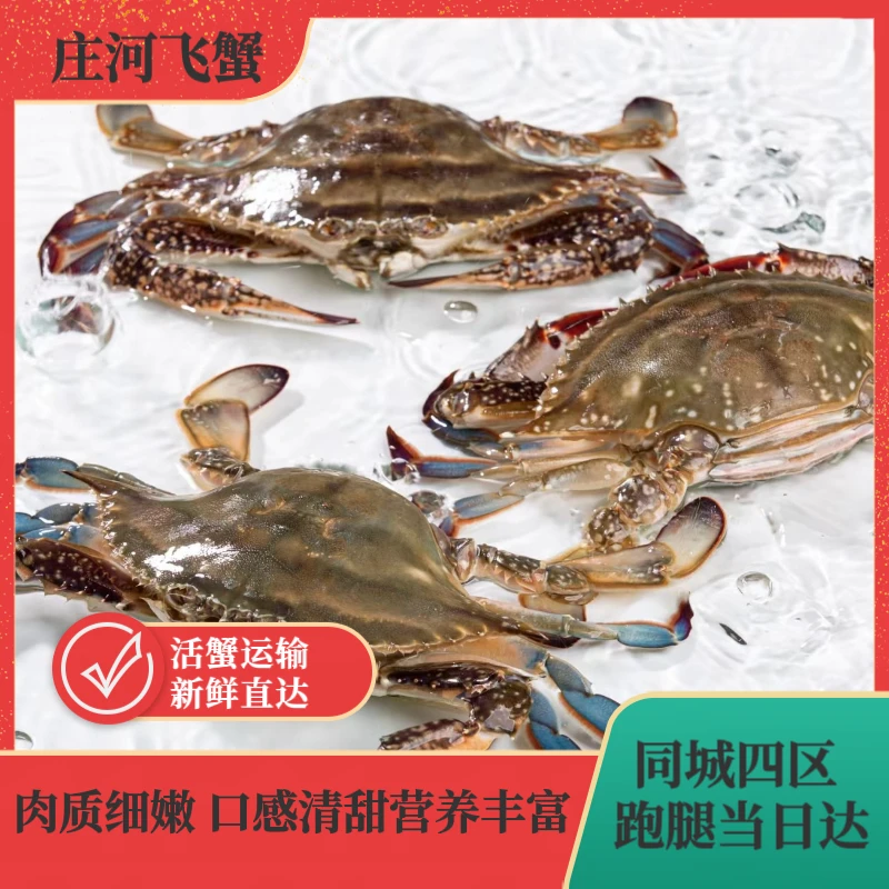 5两以上特大公飞蟹【保鲜不保活】规格2-3只/斤挂网缺腿正常