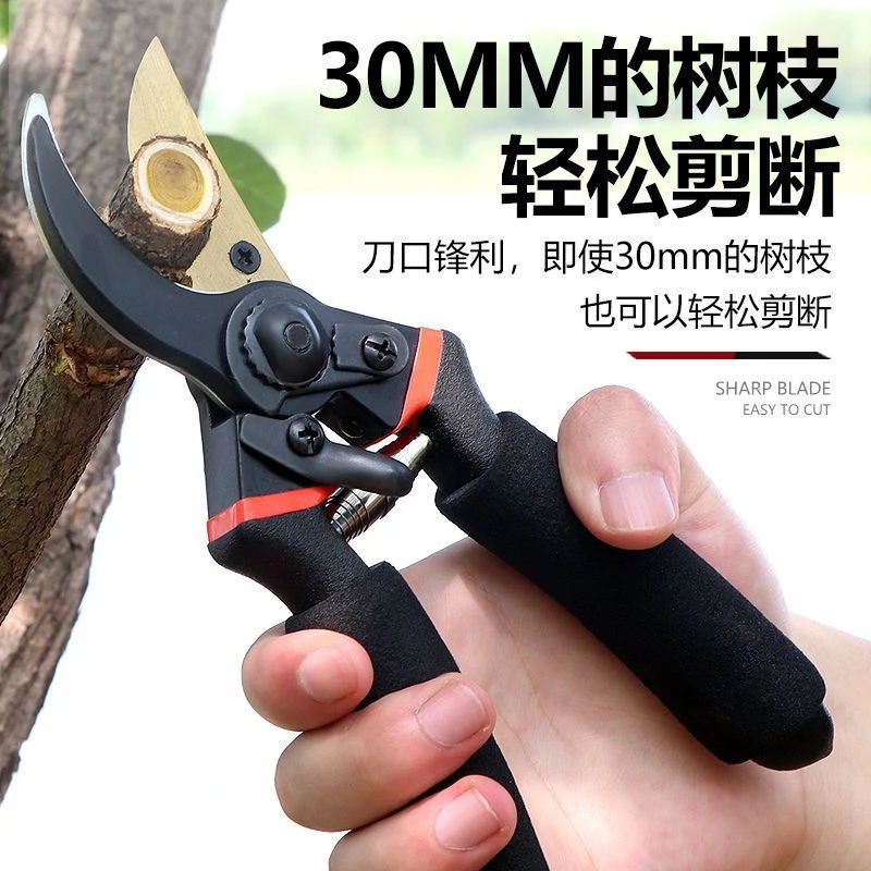 园艺修枝剪园艺剪刀剪树枝专用剪刀园林修剪果树修枝花艺修花剪子
