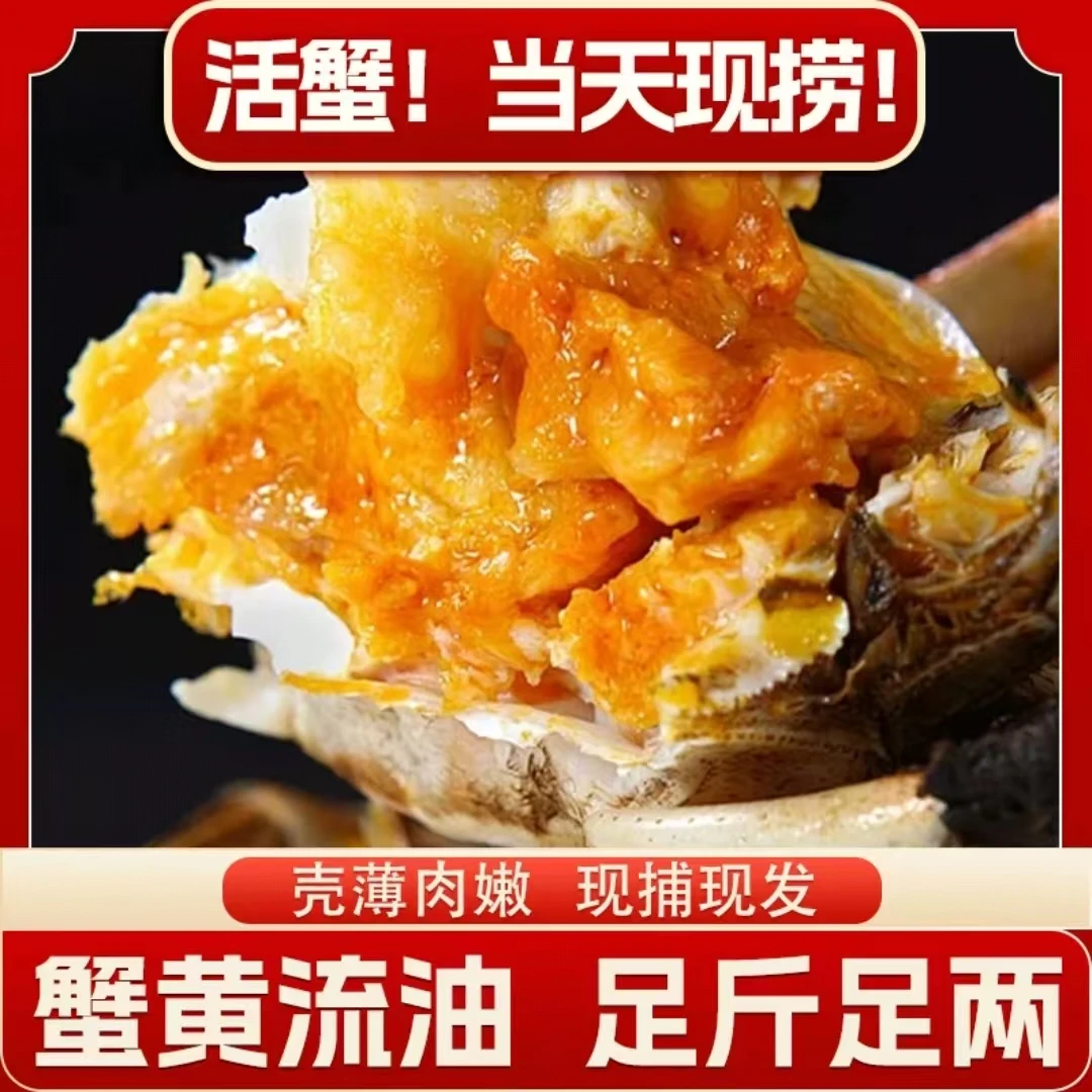 【4公3母全活精品蟹】苏州大闸蟹公4.2-3.9两 母3.2-2.9两10只