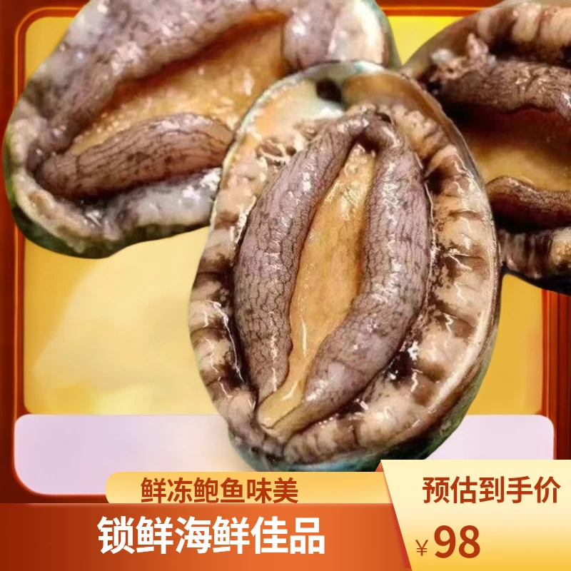 鲜冻鲍鱼冷冻锁鲜营养美味宴请招待佳品贝类海鲜红烧捞饭劲道