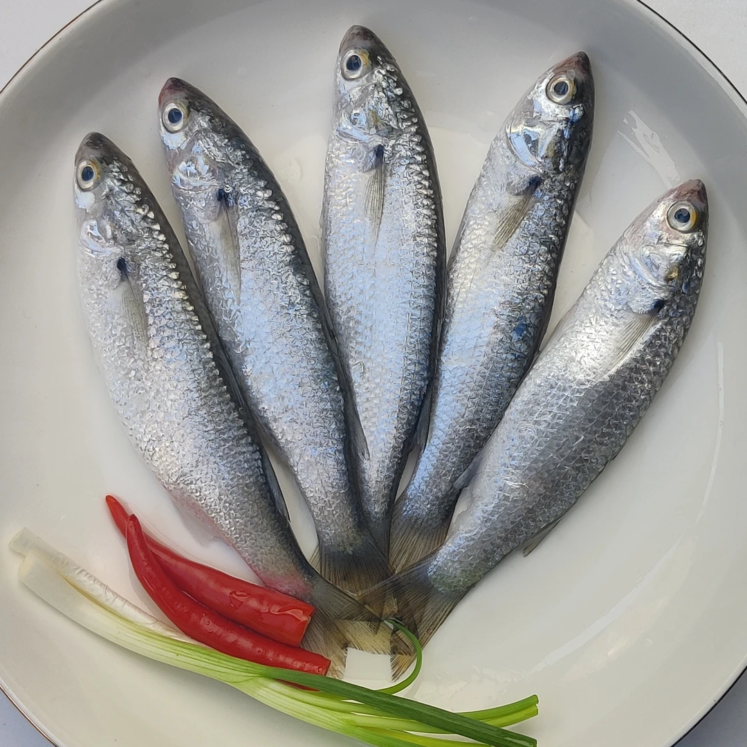 【小妹】广东湛江天然海鲜虫鱼一斤10-14条到手5斤肚薄易破介意勿拍