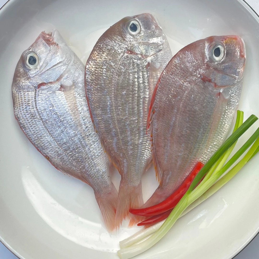 【啊妹】广东湛江天然海鲜红立鱼 一斤6-7条 到手5斤