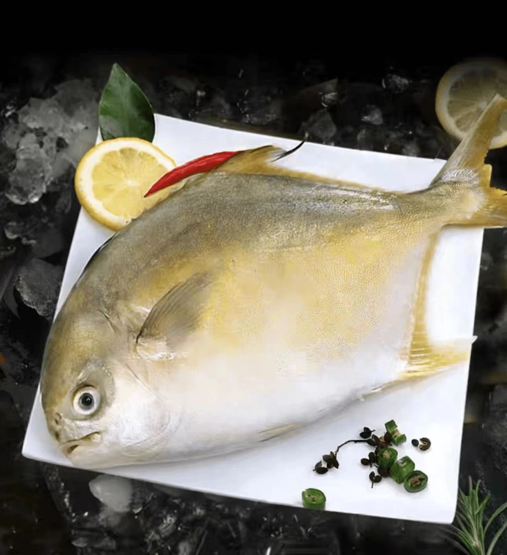 【阿妹湛江】广东湛江天然海鲜金鲳鱼    帮杀20%损耗