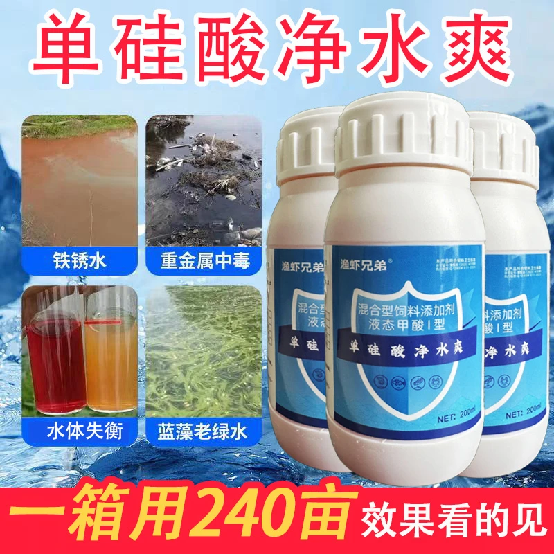 渔虾兄弟单硅酸净水爽水产调水抑制蓝藻鱼肉辅助肥水调节高效夫人