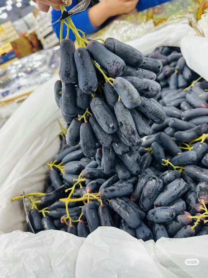 美人指葡萄 一串一称