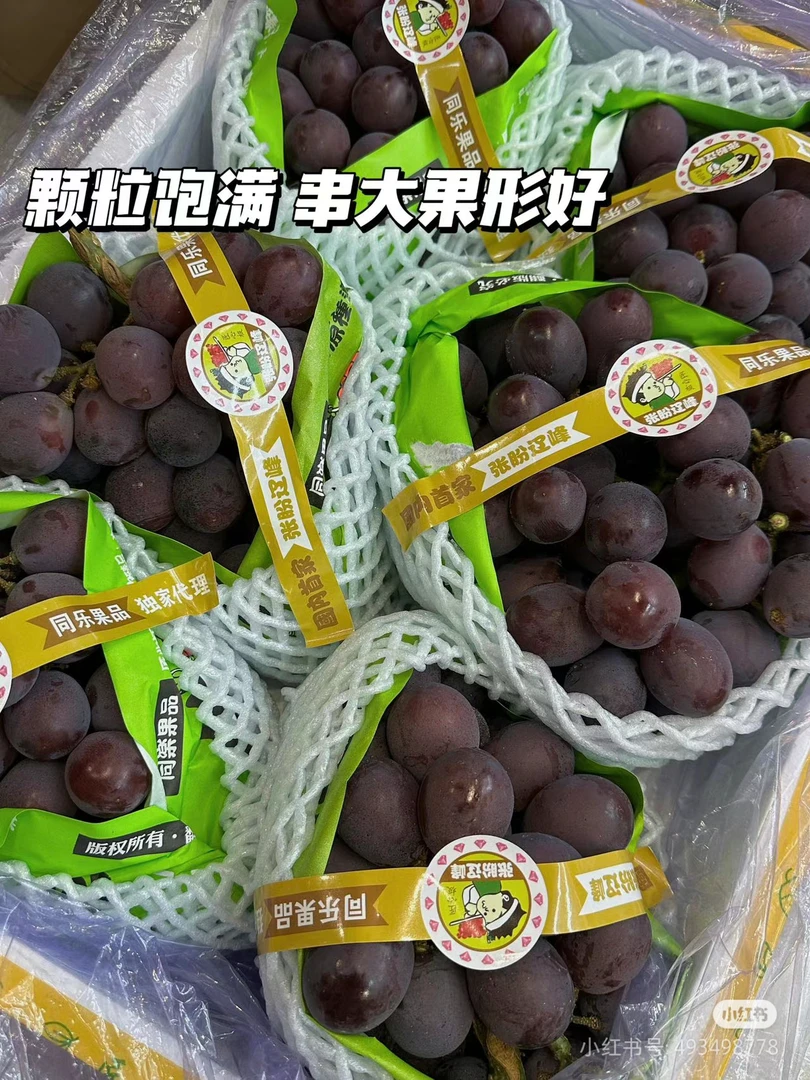 张盼辽峰葡萄 一串一称