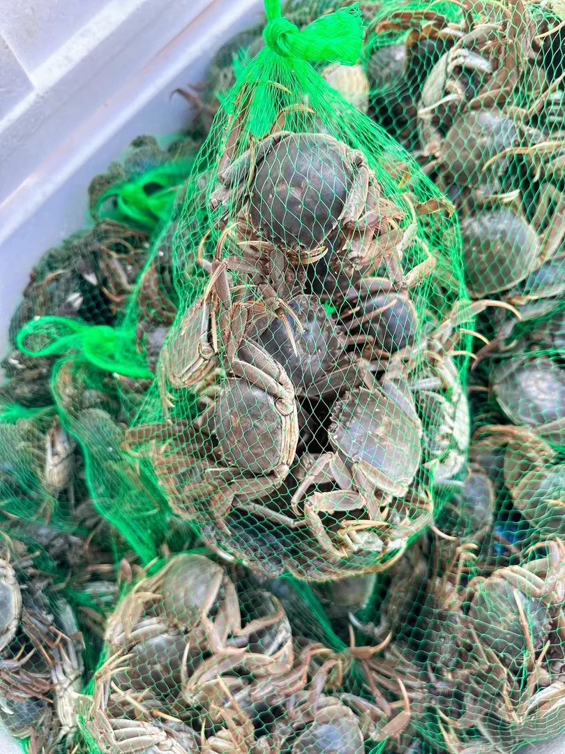 盘锦河蟹 2斤装 一只1两左右全母蟹