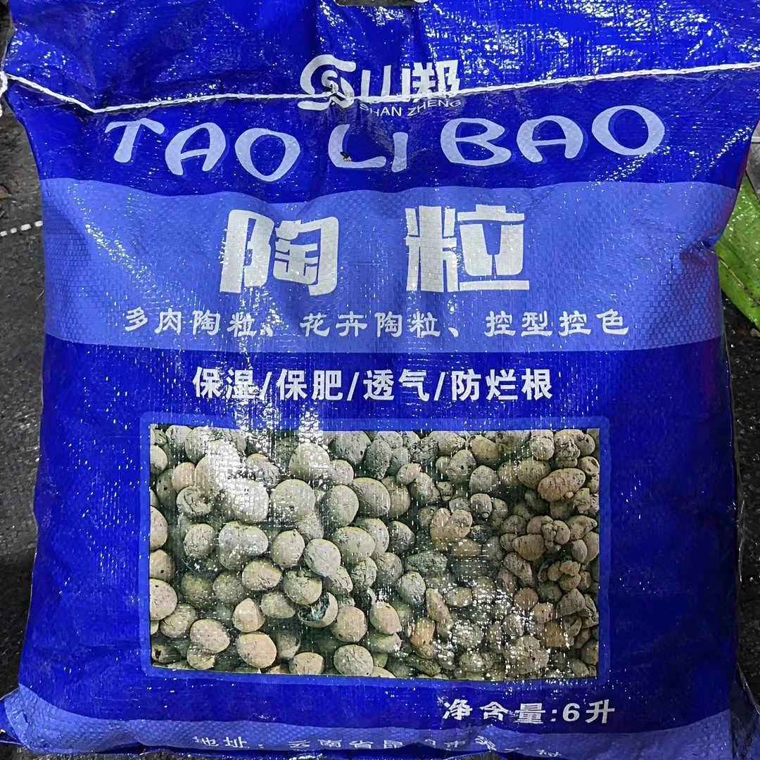多肉植物陶粒绿植通用