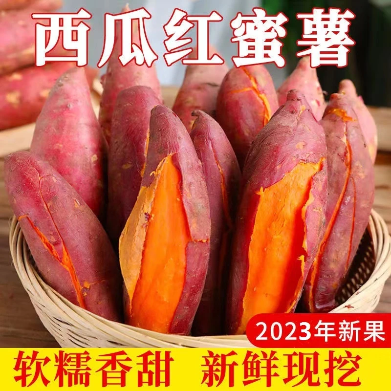 【商超品质】河南开封沙地西瓜红蜜薯5斤装地瓜沙地蜜薯红薯粗粮甜