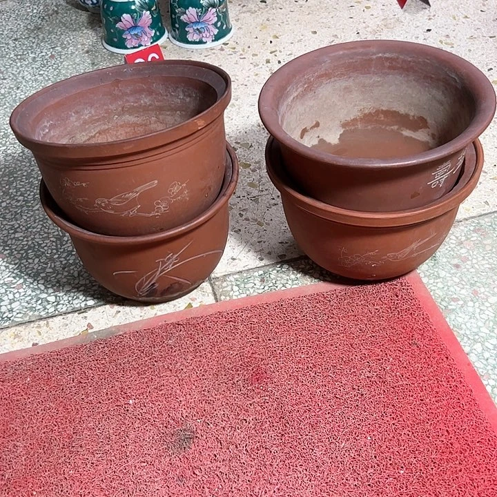 红陶20CM（含）-50CM（不含）苏*红