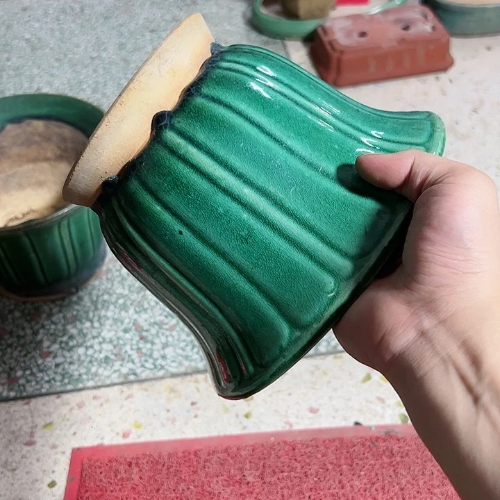 红陶20CM（含）-50CM（不含）ღ****