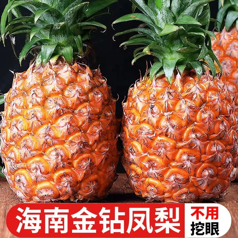 海南金钻凤梨新鲜当季水果包邮香甜美味无需挖眼泡盐不喇口
