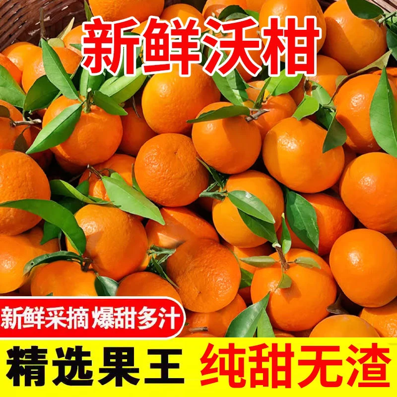 无籽沃柑超甜不酸当季新鲜水果果园现摘现发多汁爽口当天采摘