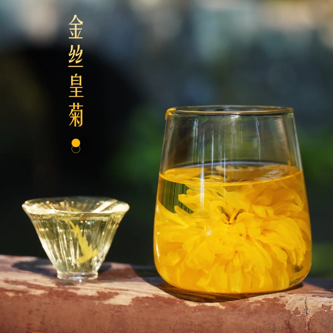 【一洲专属】7.9/40朵独立包装金丝皇菊菊花茶一朵一杯饱满搭配清香