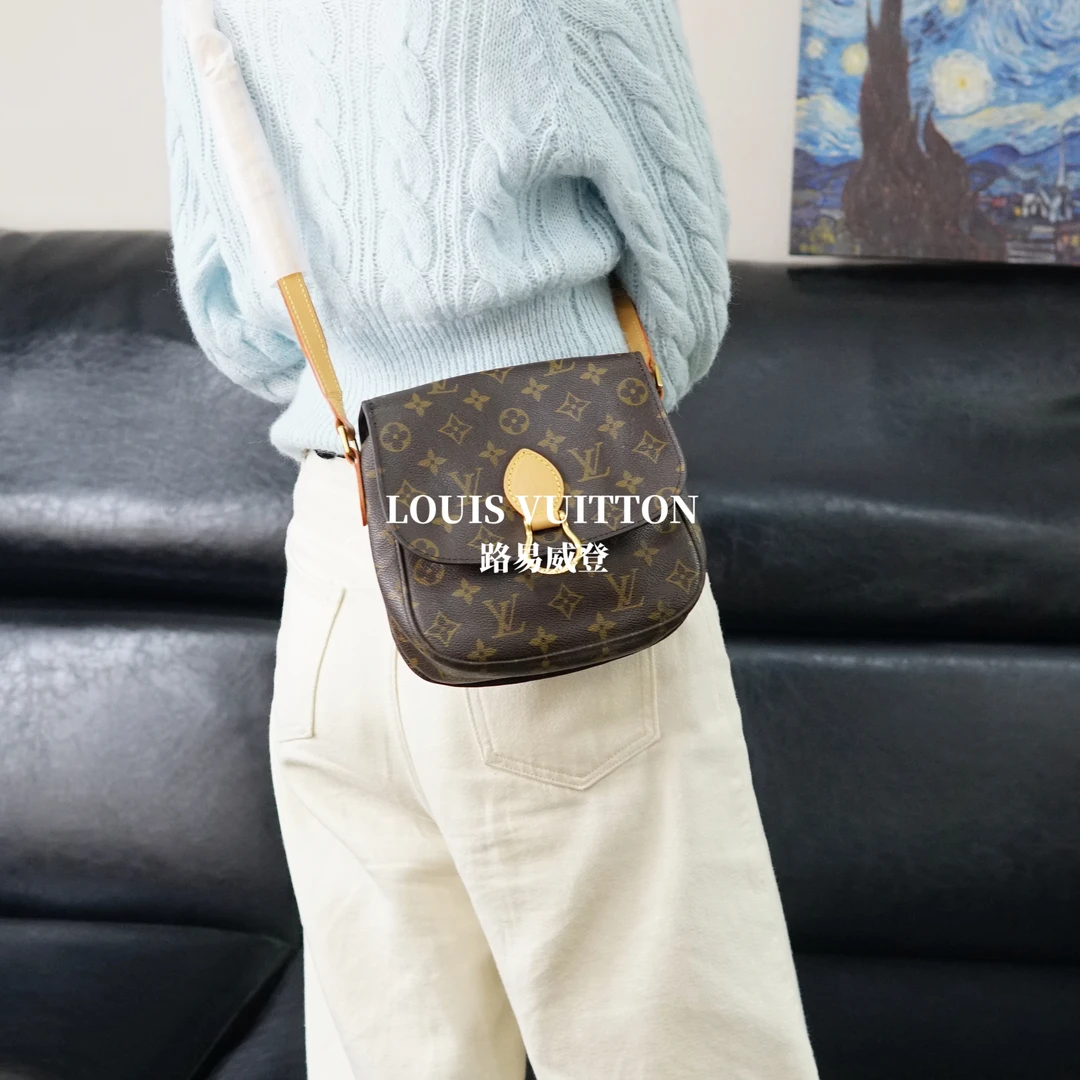 95新 LouisVuitton/路易威登 马蹄包（中）/利亚德