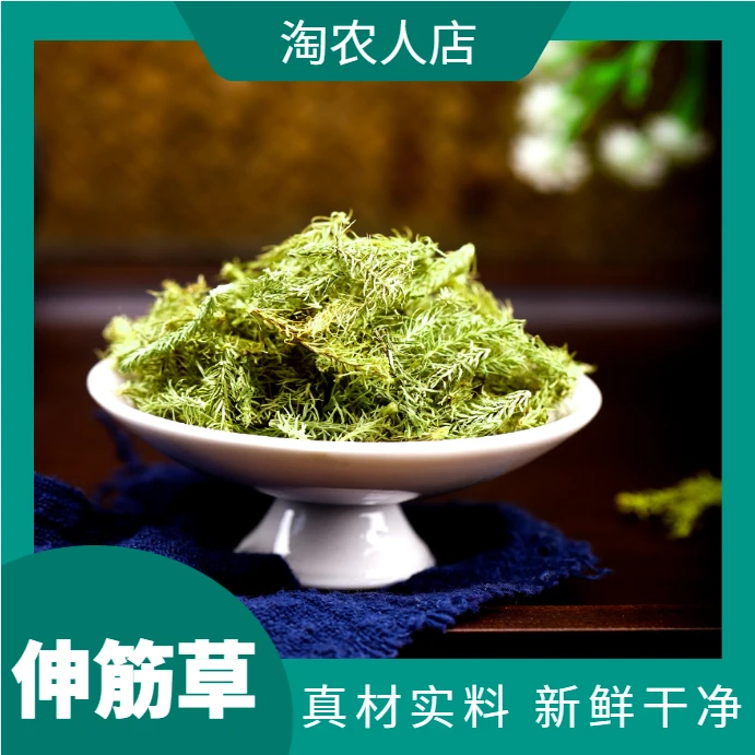 正宗云南野生伸筋草精选舒筋草干货石松狮子500-1000g农产品包邮