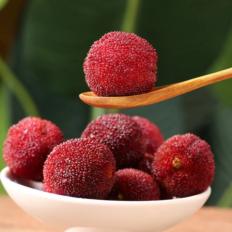 正品东魁杨梅叶菜特产冰杨梅精选冷冻杨梅汁食材3-5斤包邮农产品