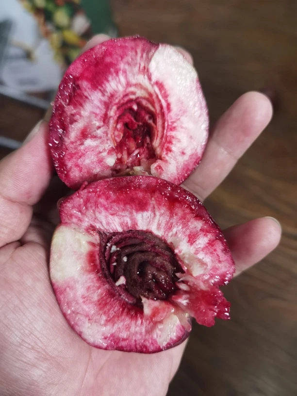 如皋本地紫桃，果园现摘新鲜