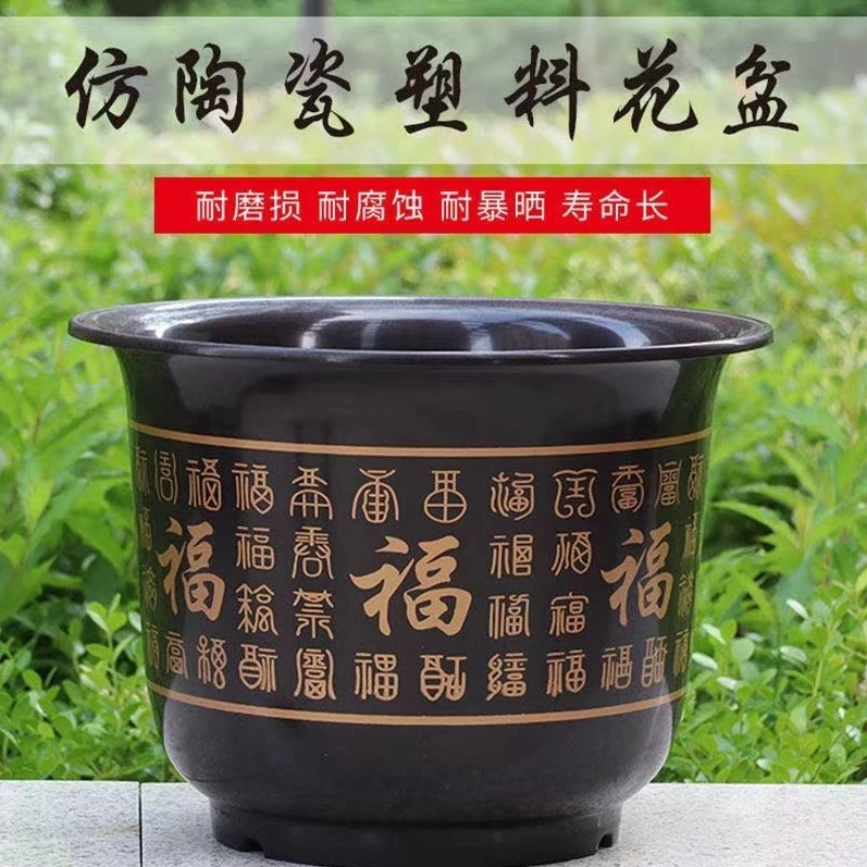 花盆处理一物一拍