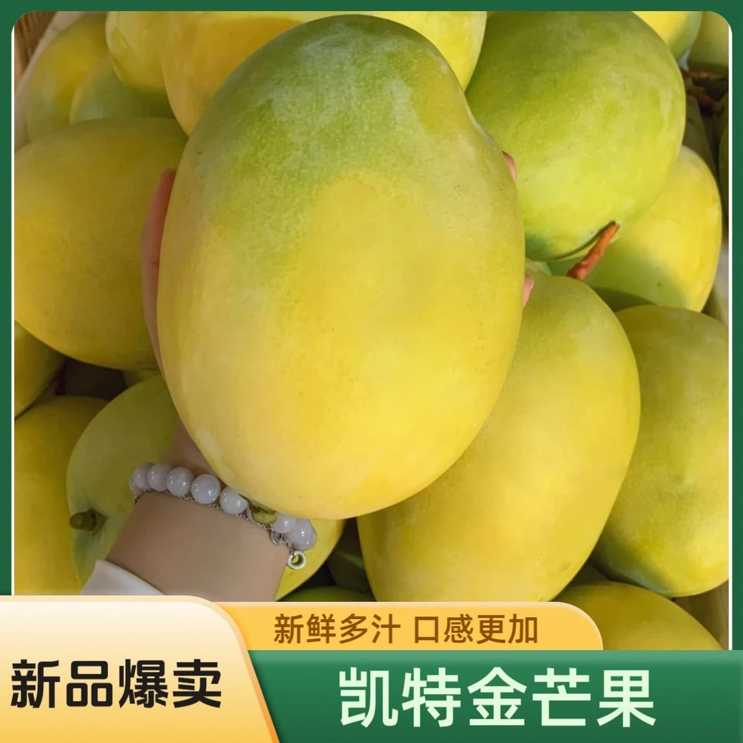 【放软食用】【黄金凯特芒】攀枝花芒果400g起带箱9-10斤云南仓发货