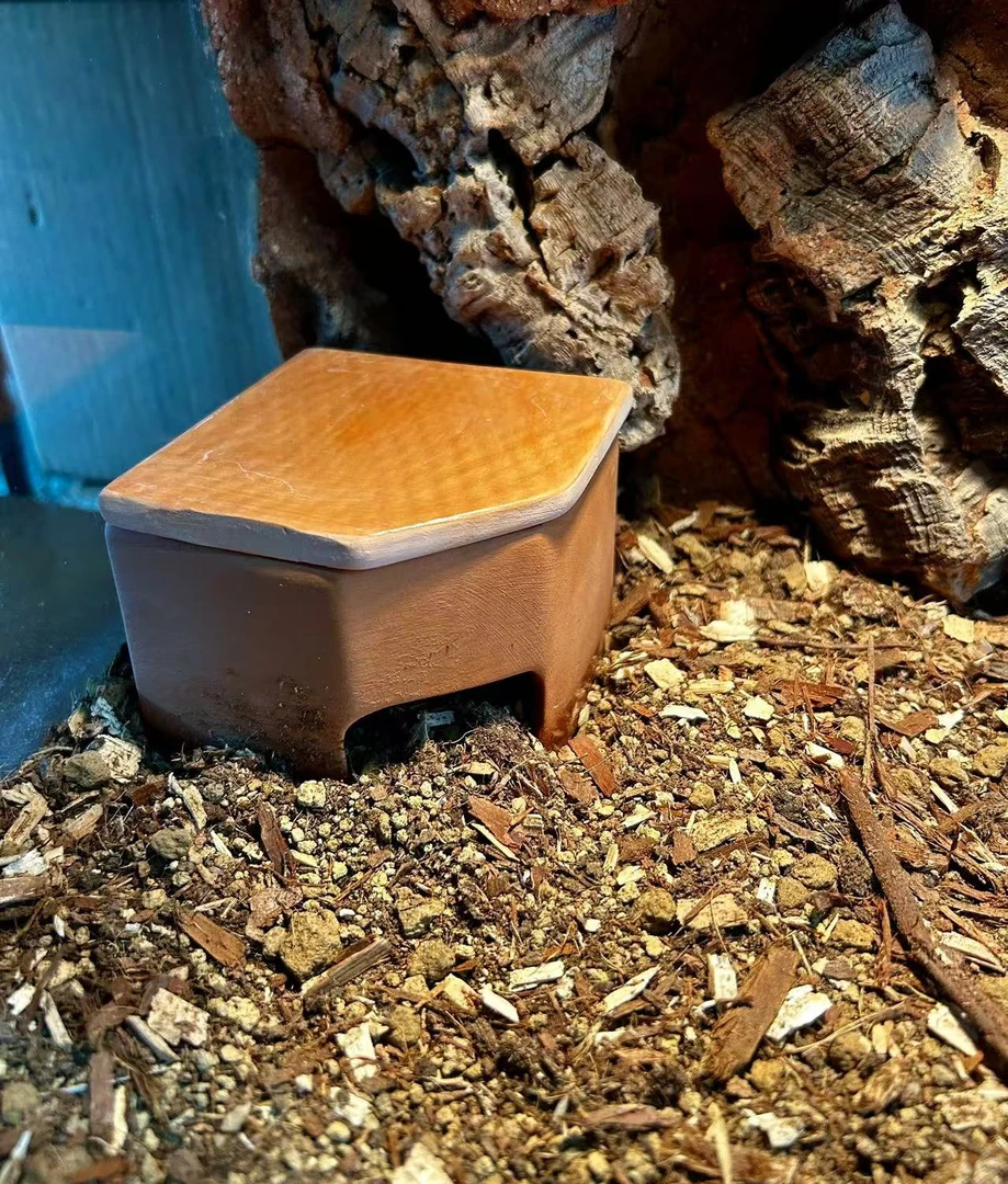 爬宠陶瓷躲避爬虫守宫加湿窝洞穴宠物蛇睫角蜕皮保湿洞穴天然陶土