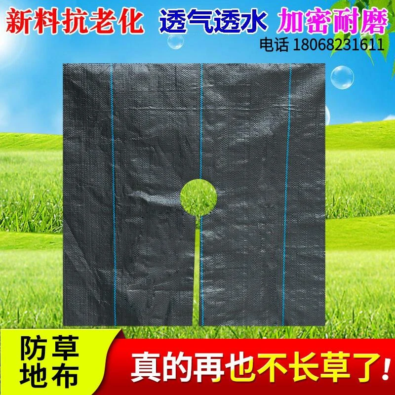 防草布除草布农用打孔盖草抑草遮草布透气透水抗老化果园加厚地膜