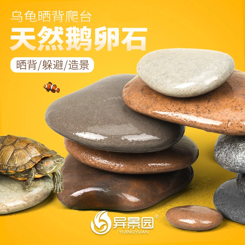 乌龟晒背石天然造景原生彩石鹅卵石乌龟缸扁平爬宠晒背石片底座