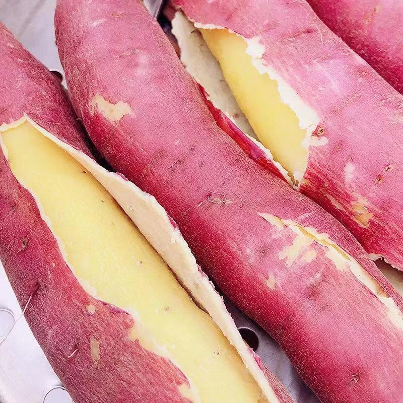 海南澄迈富硒桥头地瓜宝宝果软糯香甜海南桥头地瓜红薯